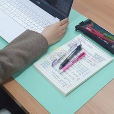 양면 가죽 장패드 소프트그린 책상매트