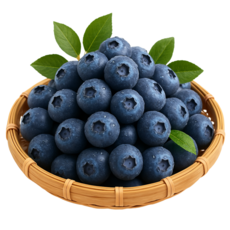 국산 생 블루베리 고당도 프리미엄 선별 최상품 디아머스, 1개, 400g (특)