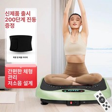 진동운동기 홈트 덜덜이 쉐이크 운동기구 기계 전신 가정용 쉐이크보드 실내 기구 뱃살, 프리미엄 그린 땀벨트 6코어 200단계, 기본 모델명/품번