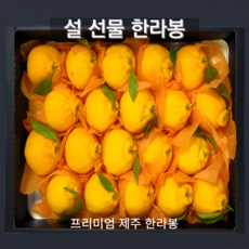 [리뷰만족도1위] 프리미엄 최상품 제주 햇 한라봉 선물세트, 1세트, 3kg (가장 많이 선택)