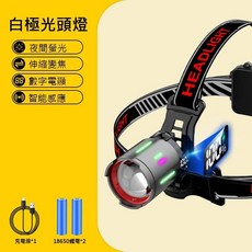 變焦頭燈 LED頭燈 強光頭燈 釣魚燈 夜釣 露營燈, 1個, 電顯感應(原廠2200mahX2)