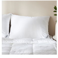 한샘 슬립다이버 다운필 베개솜, 1개, White