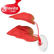 그로비타 베타 침대 레드 물멍몰관상어제품, 1팩