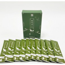 향평위환 한약사가 직접만든 스틱형 환 향사평 위산 소화환 한방소화 제형, 10개, 4g