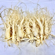 바른인삼 가정용 세척인삼 700g 25-35뿌리, 무료세척, 1개