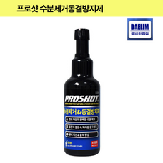 대림기업 프로샷 수분제거동결방지제 300ml, 1개