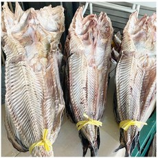 물메기 / 남해안 삼천포 자연산 건조 물메기 2미 - 청정해역 마른 물메기 사이즈별, 1세트, 건조물메기(특대) 2미