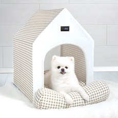 Leto 寵物屋, 象牙白