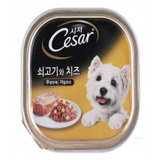 샐팩 반려견 쇠고기와 치즈캔 100g 영양공급, 1