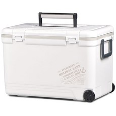 【日本製】伸和冰箱 76L 釣魚冰箱 冰桶 行動冰箱 保冰箱 車用冰箱 保冷箱 露營冰箱 Holiday Land, 詳見包裝, 1箱, 27L