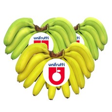 더노랑 필리핀 바나나 델몬트 유니 4.2kg 6kg 13kg, 1박스, 6kg내외, 바나나3송이(유니6수대과크기)