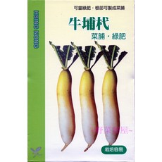 【野菜部屋~】I35 牛埔杙 菜脯綠肥 蘿蔔種子, 1包