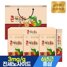 순수식품 6년근 큰키즈 골드 어린이 홍삼 진액 스틱 1박스(30포) 면역력, 1박스