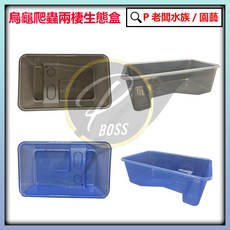 P老闆水族 烏龜爬蟲兩棲生態盒 (黑/藍-M/L) 烏龜飼養盒 飼育盒 爬蟲兩棲, 黑色,L, 1個