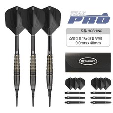 고급 실내 다트 선수용 전문가용 다트팁 훈련용 입문용 재미난, 호시노 미츠마사 - 17g
