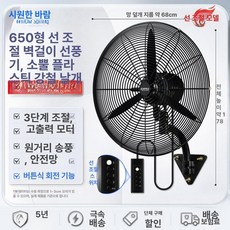 벽걸이 대형선풍기 산업용 공업용 업소용 저소음, FS-65 D, 기본 색상