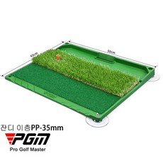 PGM 골프 연습 실내 잔디 볼트레이매트 DJD034, 잔디 이층PP-35mm, 1개