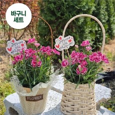 아비가든 어버이날 카네이션 꽃바구니 부모님 선물 스승의날 가정의달 꽃선물, 1개, 2.하트바구니