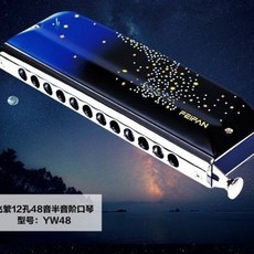 FEIFAN半音階口琴星空Yw48專業演奏飛繁12孔C調入門, 1個, FEIFAN半音階口琴星空Yw48專業演