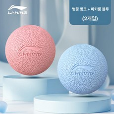 데이하우스 마사지볼 스트레칭 지압 근육이완 지압볼, 핑크 + 블루 2개세트전신마사지, 기본 모델명/품번