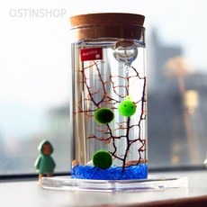 앤쥬 LED 유리병(6.5x12.5cm) 마리모어항