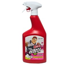 홈스타 뿌리는 곰팡이 싹 후로랄향 세정제, 750ml, 1개