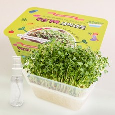 SKFARM 두손가득 새싹 키우기 세트 무순 씨앗 분무기 포함, 1세트