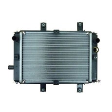 SYM 三陽 L3A JOYMAXZ ABS LW30W2 LW30W3 水箱, 1個