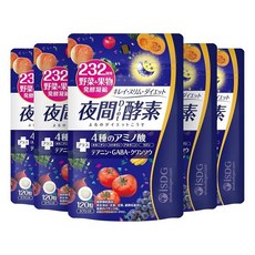 ISDG 야간 diet 효소 232 종류 야채 과일 발효 응축 120알*5개세트, 1개