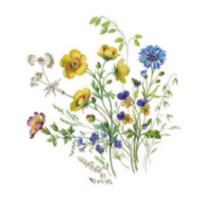 도자기전사지 도예 상회용 포슬린 영국 N4709 초원의 꽃들 B 45mm, 4개