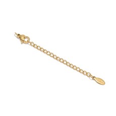 不鏽鋼尾鏈龍蝦扣套裝 (10套/包) DIY項鍊手鍊飾品配件 伸縮調節鍊 調節扣 手作材料, 刻字橢圓金色, 1個