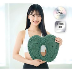 아이규 가정용 지압 스텝퍼 실내운동 홈트 밸런스 무소음, 딥그린