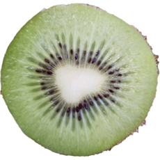 뉴질랜드키위 그린키위 뉴질랜드그린키위, 1박스, 뉴질랜드그린키위 중대과 2.5KG(19과내외)