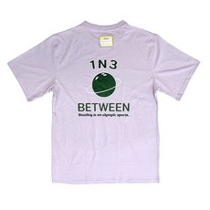 1n3 globe T
