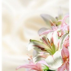 릴리오브더벨리 (Lily of the Valley F.O)프래그런스오일, 30ml, 1개