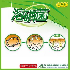 菌專家 溶磷菌 1/5公斤 微生物菌群 解磷 省肥 改善土壤, 1個, 1公斤 ± 5%, 1公斤