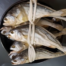 영광 가공 보리굴비 31cm 특대 10미, 10개