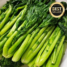 국내산 여수 돌산 절임갓 제철 음식 산지직송, 1개, 10kg