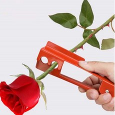 장미 줄기 가시 제거 플로리스트 꽂꽂이 식물 꽃다발 원예 조화 화원 소품 화초 화분 루바