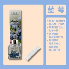 AIRBRC 香氛擴香瓶 50ml 室內香薰玻璃瓶 附擴香棒, 1組, 藍莓