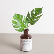 레터링그린화병Aset 23cm (DIY) 조화 인테리어, 몬스테라