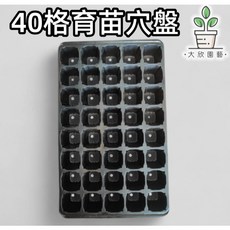 大欣園藝 40格育苗穴盤, 1個