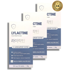 라이락틴 L 라이신 염산염 유산균 프락토올리고당 500mg X 60정, 3개, 30g