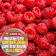 삼시세끼연구소 침이 고이는 포항 김해 산딸기 생과, 1세트, 500g