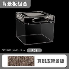 파충류 사육장 게코 케이지 도마뱀 투명 하우스 은신처 파충류 P03+03 배경판, 1개, 5_파충류 P01 항아리+01 배경판