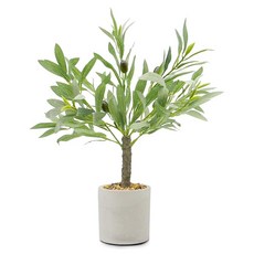 GDT 지디티 관엽 식물 가짜 그린 올리브 40cm 진짜 화분 세련된 인테리어 시들지 않는다 거실 현관 사무실 인공 식물 조화, 1개, 상세페이지 참조