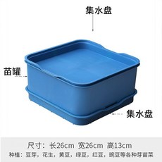 가정용 콩나물기르기 콩나물키우기 재배기 화분, 1개