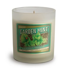 Four Points Trading Co. Garden Mint 226.8g(8온스) 향 소이 아로마테라피 캔들 병 포함 264091, 8 Oz, 1개