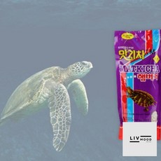 해밍웨이샵 청거북전용 EP사료 160g 거북이사료, 1개