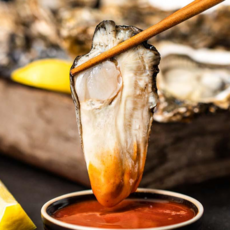 프리미엄 선별 통영 당일조업 삼배체굴, 1개, 2kg